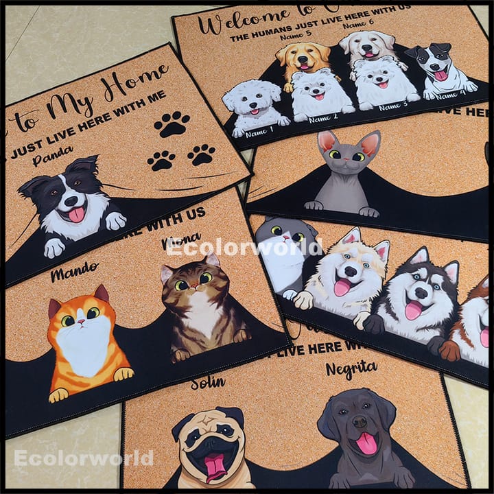Custom Printed Welcome Door Mat